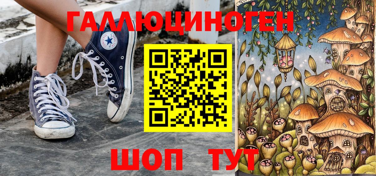 Реутов  Галлюциногенные грибы прущие грибы  Вход с VPN 